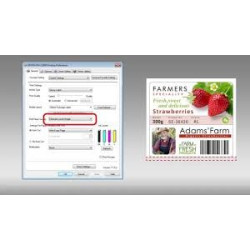 Epson ColorWorks C3500 stampante etichette