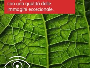 Xerox C230 A4 22 Ppm stampante laser colore fronte/retro Wifi